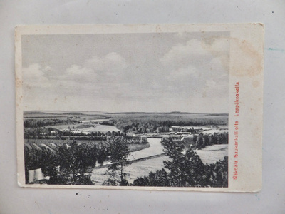 VANHA Potikortti Leppäkoski Janakkala 1917