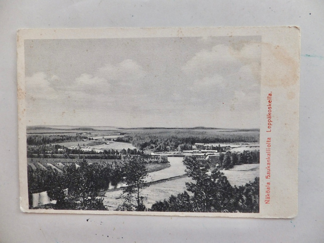 VANHA Potikortti Leppäkoski Janakkala 1917