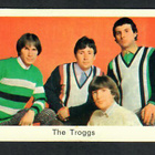 Keräilykuva - The Troggs - pikkukuva 1