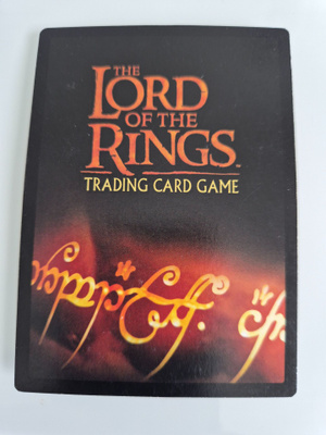 Lord of the Rings Trading Card Game (10047)
