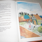 Kallioniemi - Juvonen Aasi ja Morso - pikkukuva 3
