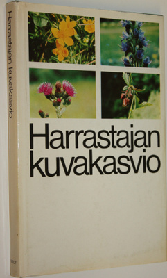 Lorentz (suunnittelu) Bolin : Harrastajan kuvakasvio