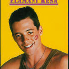 ELÄMÄNI KESÄ	(24 916)	-FI-	DVD		matthew broderick - pikkukuva 1