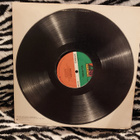 VELVETEEN WILD RAIN LP - pikkukuva 2