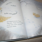 Jennings - Edgson Nappe ja ensilumi - pikkukuva 3