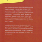 Ilona Korhonen: Työn taso riittämätön - pikkukuva 2