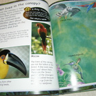 Penny Clarke Scary Creatures of The Rainforest - pikkukuva 3