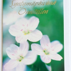PAKETTIKORTTI..SYNTYMÄPÄIVÄNÄ ONNITELLEN - pikkukuva 1