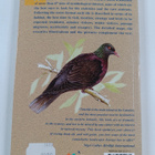 Eduardo Garcia del Rey : Where to Watch Birds in Tenerife - pikkukuva 2