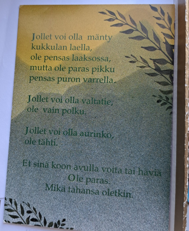 mietelmäkortti, Positiivarit:  uusi kortti