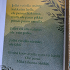 mietelmäkortti, Positiivarit:  uusi kortti - pikkukuva 1
