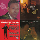 Marvin Gaye – Volume One 1961 – 1965 7CD-boxi - pikkukuva 2