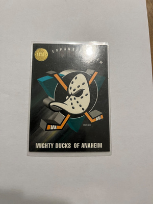 1993-94 Leaf Anaheim Mighty Ducks Of Anaheim #200