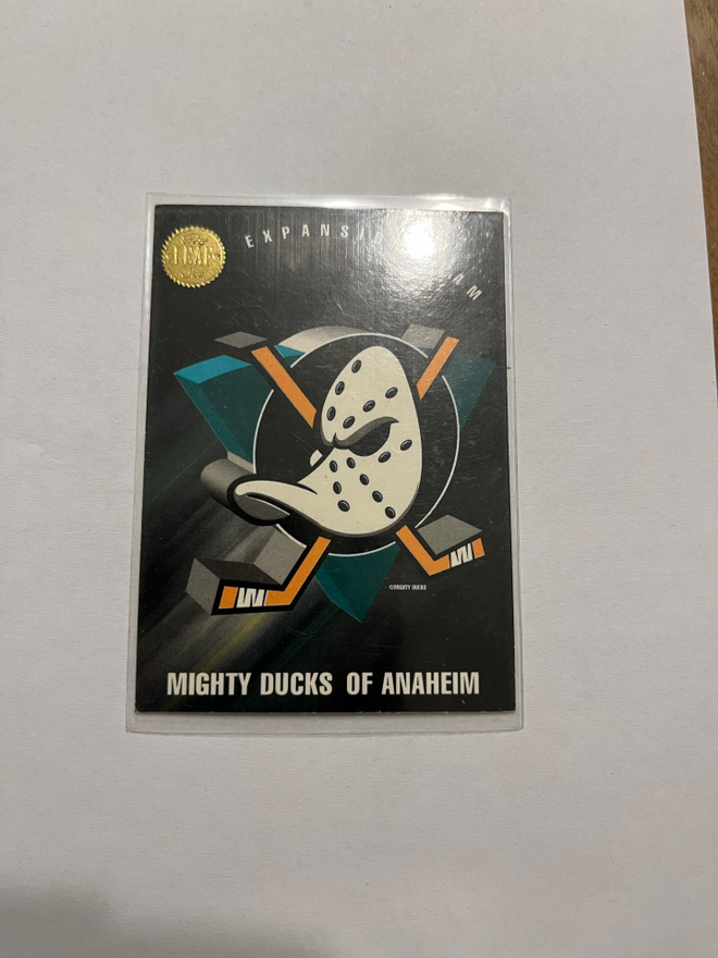 1993-94 Leaf Anaheim Mighty Ducks Of Anaheim #200