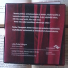 Reidar Palmgren - Lentämisen alkeet (äänikirja, CD) - pikkukuva 2