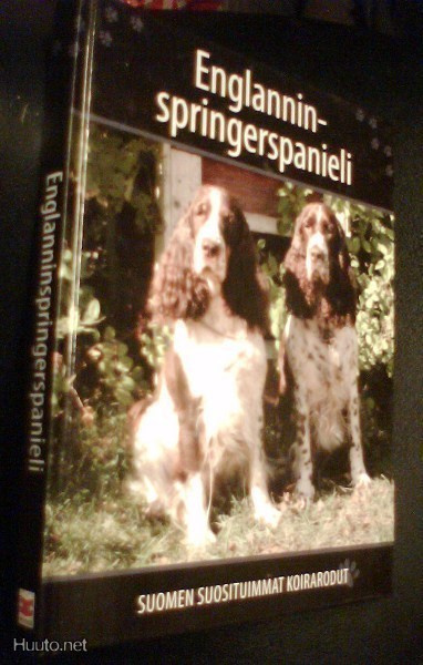 ENGLANNINSPRINGERSPANIELI (Suomen suosituimmat koirarodut)