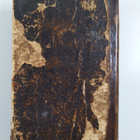 Uusi Testamenti ja Psaltari - pikkukuva 2