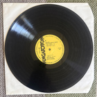 CONCERTOS FOR VIOLA D'AMORE AND STRINGS (LP) 1980 - pikkukuva 4