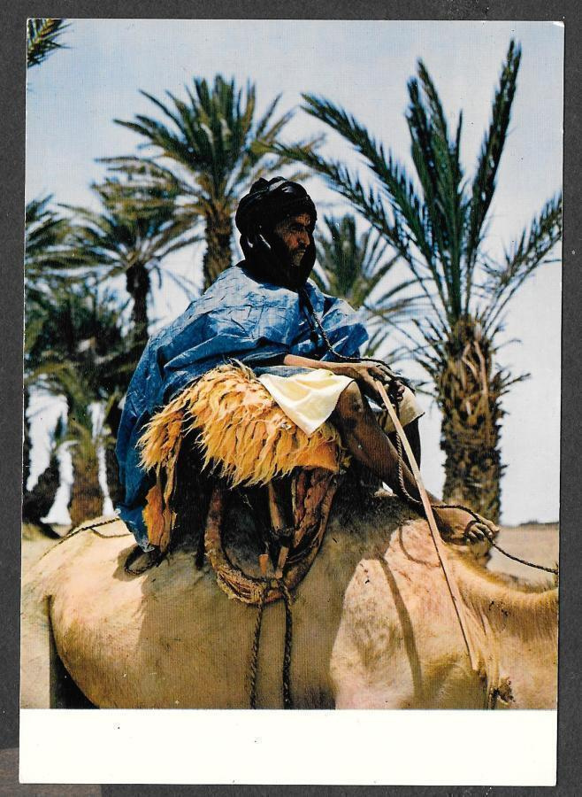 Länsi-Sahara (Espanjan Sahara) - mies kamelin selässä