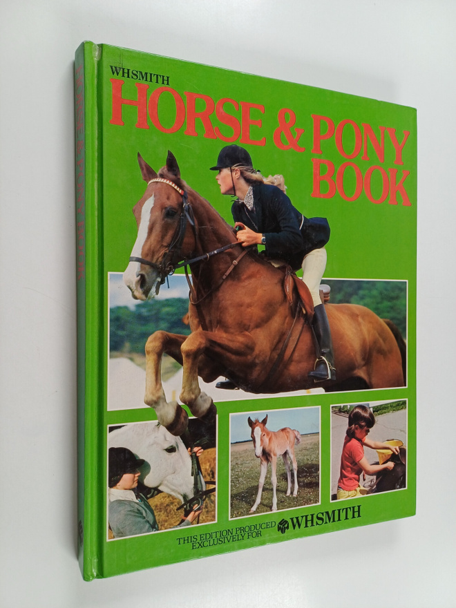 Sally Gordon : The Horse and Pony Book
