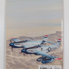 Larry Davis : F-82 Twin Mustang - pikkukuva 2