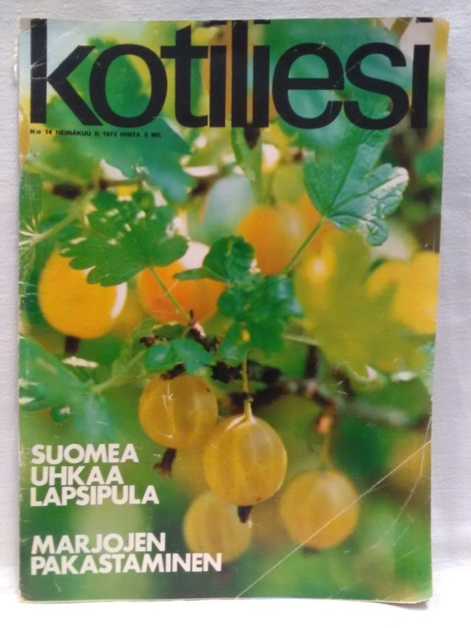 Kotiliesi No 14 heinäkuu 1972