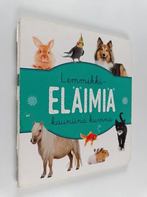 Lemmikkieläimiä kauniina kuvina