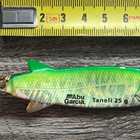 Abu garcia taneli 25g! - pikkukuva 1