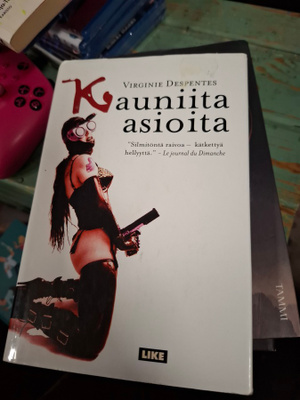 Virginie Despentes Kauniita asioita