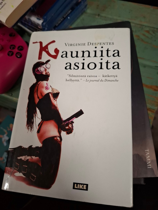 Virginie Despentes Kauniita asioita