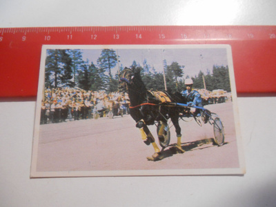 K 15 Jenkki Ravi ja ratsastus # 11