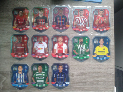 Pro Elite kortit 13 kpl