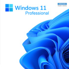 LISENSSI & Windows 11 USB v2 (24H2) OHITTAA TPM,CPU,RAM - pikkukuva 4