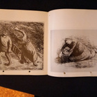 näyttelyluettelo Ernst Barlach 1976, Helsinki - pikkukuva 3