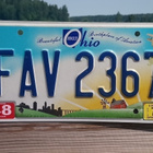 Rekkari. Värikäs. Beautiful Ohio. Koko - 306*155 mm. - pikkukuva 4