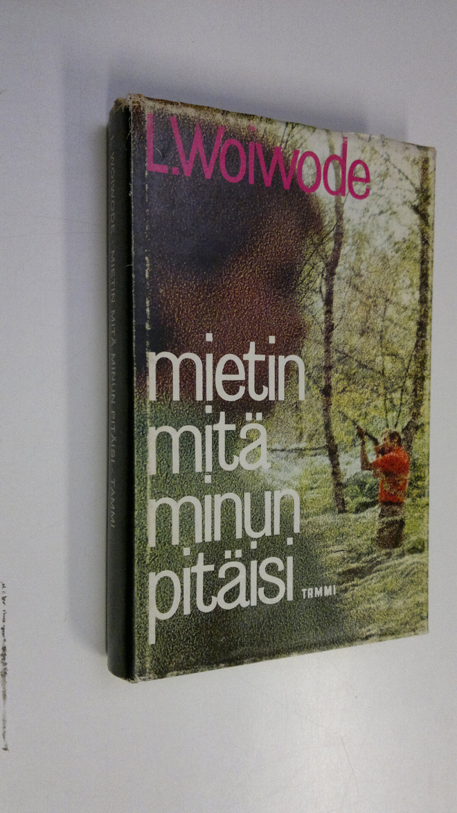 L. Woiwode : Mietin mitä minun pitäisi