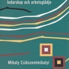 Mihaly Csikszentmihalyi: Flow, ledarskap och arbetsglädje - pikkukuva 1