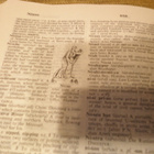 The International Webster's Comprehensive Dictionary of the - pikkukuva 5