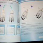Pickthall: JOLLAPURJEHDUS (1.p.2013) Sis.postikulut - pikkukuva 5