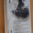 Cornelia Funke : Reckless Kiveen kadonnut ( 1.p. 2011 ) - pikkukuva 2