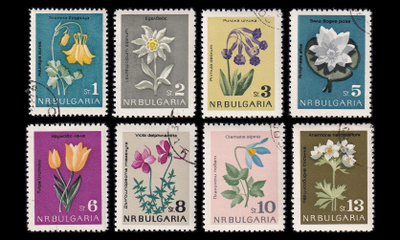 Bulgaria 1407-14 o Luonnonsuojelu kukkia (1963)