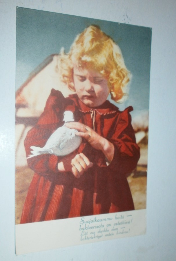Suojatkaamme heitä..., Suomen Rauhanpuolustajat, 1950-l.