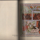 Hildegard, Bingeniläinen: Scivias = Tunne tiet, 2003,skp,K3+ - pikkukuva 2