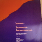 PSYYKE :: RUUSUTARHA : HARVINAISUUS  VINYYLI  MAXI  12" 1986 - pikkukuva 2