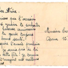 KUKKIA / Kesäisen kauniit neilikat ja orvokit. 1900-l. - pikkukuva 2