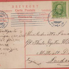 A Weinert I blomningstider - kulk v 1907 - pikkukuva 2