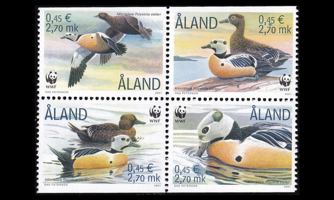 183-6vb ** Allihaahka neliö (2001)