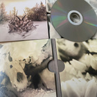 Soundgarden: King Animal cd digipack - pikkukuva 3