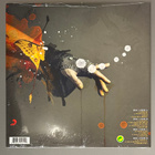 EVANESCENCE: Orchestral Arrancements By David Campell - LP - pikkukuva 2