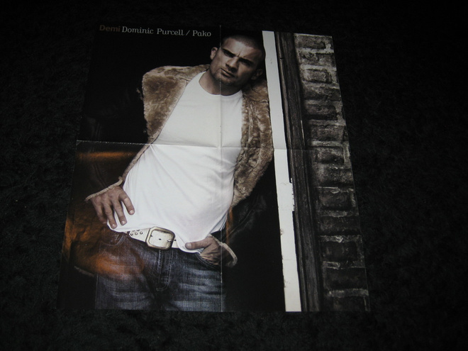 Dominic Purcell juliste